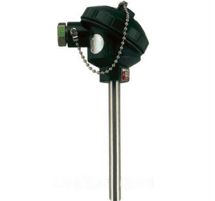 WZP2-120無(wú)固定雙支裝配式熱電阻 WZP2-120無(wú)固定雙支裝配式熱電阻